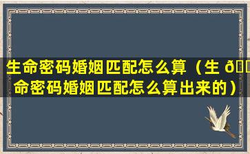 生命密码婚姻匹配怎么算（生 🌴 命密码婚姻匹配怎么算出来的）